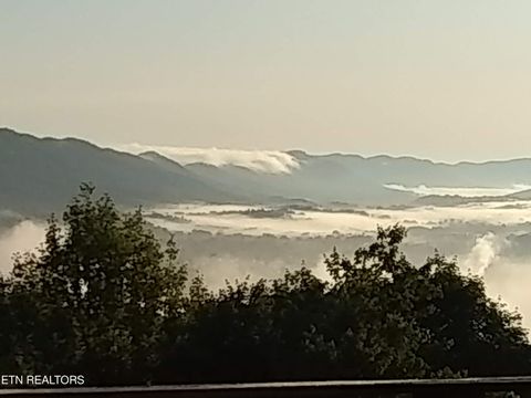 Tiny photo for 211 Wolf Run, Caryville, TN 37714 (MLS # 1334864)