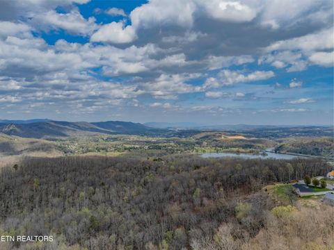 Tiny photo for 211 Wolf Run, Caryville, TN 37714 (MLS # 1334864)