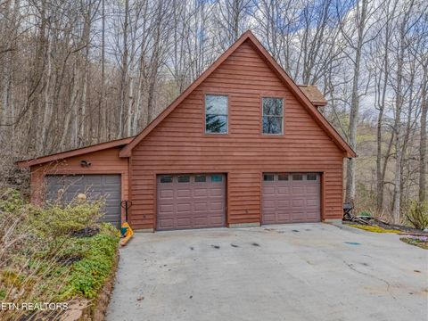 Tiny photo for 211 Wolf Run, Caryville, TN 37714 (MLS # 1334864)