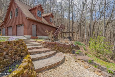 Tiny photo for 211 Wolf Run, Caryville, TN 37714 (MLS # 1334864)