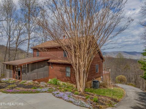 Tiny photo for 211 Wolf Run, Caryville, TN 37714 (MLS # 1334864)