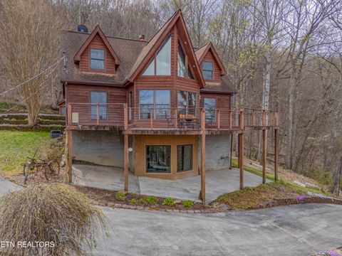 Tiny photo for 211 Wolf Run, Caryville, TN 37714 (MLS # 1334864)