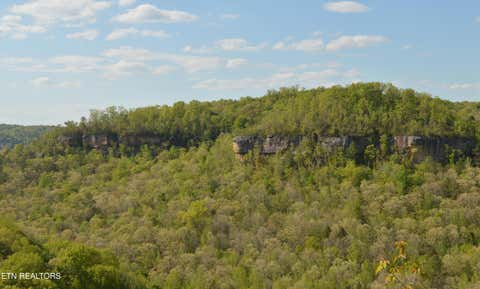 Photo of 1501 Rob Watson Rd, Oneida, TN 37841 (MLS # 1345901)