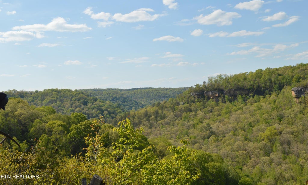 Photo of 1501 Rob Watson Rd, Oneida, TN 37841 (MLS # 1345901)