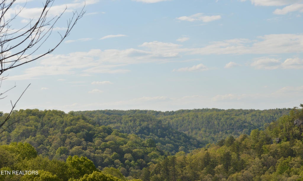 Photo of 1501 Rob Watson Rd, Oneida, TN 37841 (MLS # 1345901)