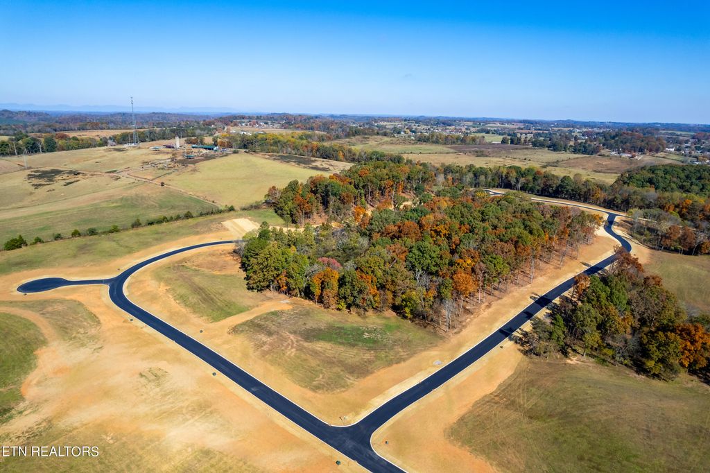 Photo of 1421230 Herbert Drive, Greenback, TN 37742 (MLS # 1253744)