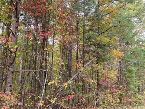 Photo of 1171 Chuckwagon Tr, Grimsley, TN 38565 (MLS # 1319867)