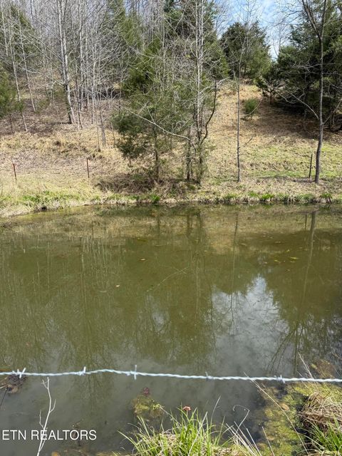Photo of 00 Kyles Ford (35 acres) Hwy, Kyles Ford, TN 37765 (MLS # 1335558)