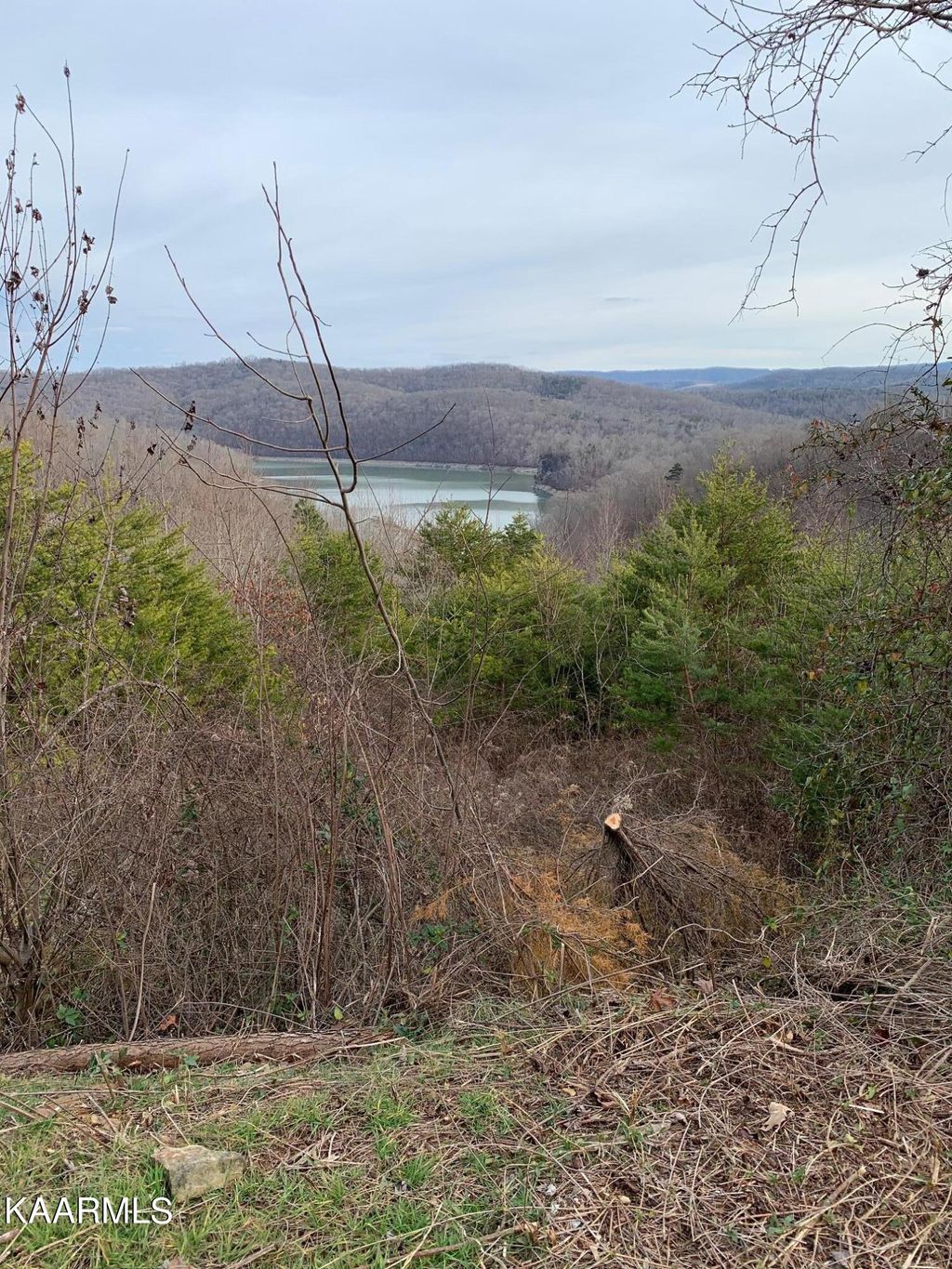 Photo of 590 Whistle Valley Rd, New Tazewell, TN 37825 (MLS # 1230685)