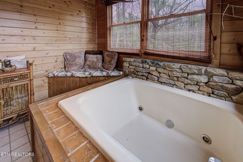 Tiny photo for 2568 Raccoon Hollow Way, Sevierville, TN 37862 (MLS # 1325759)