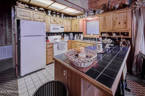 Tiny photo for 2568 Raccoon Hollow Way, Sevierville, TN 37862 (MLS # 1325759)