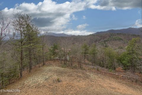 Tiny photo for 2568 Raccoon Hollow Way, Sevierville, TN 37862 (MLS # 1325759)