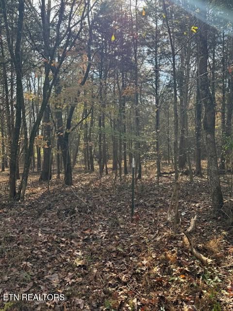 Lot 1031 Meadow Court Baneberry TN 37890