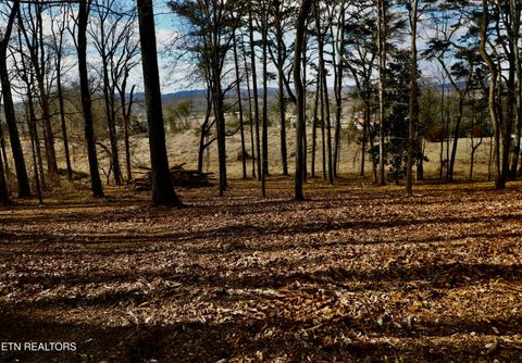 Lot 1 E Crestview Drive Madisonville TN 37354