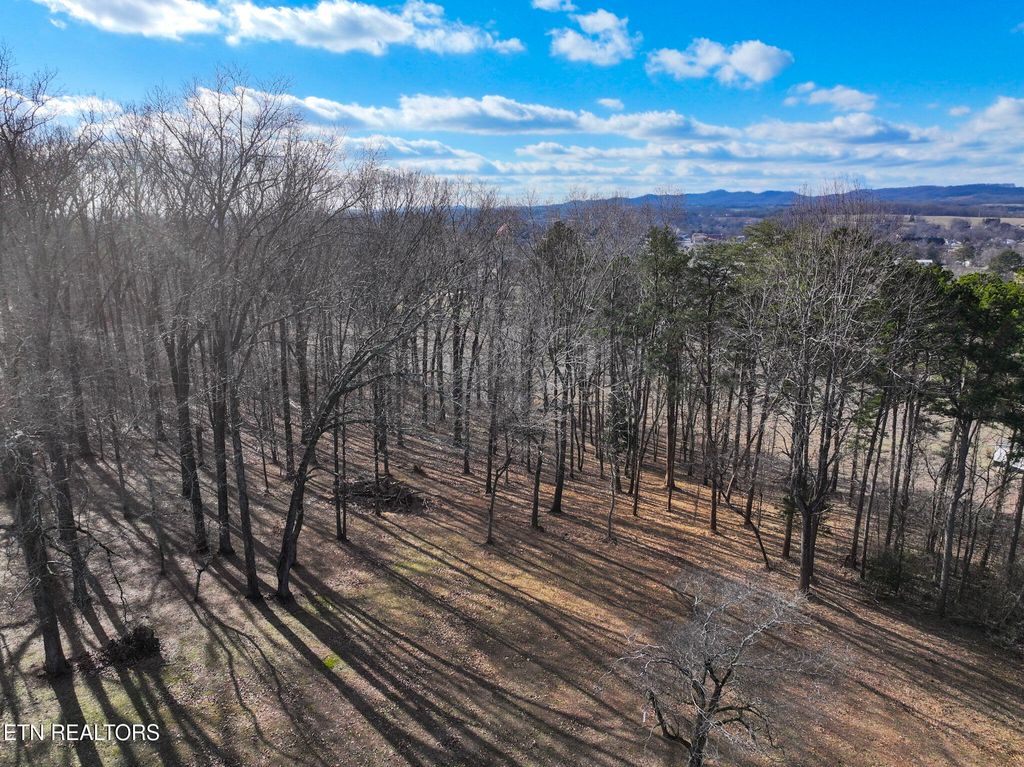 Photo of E Crestview Drive Lot 1, Madisonville, TN 37354 (MLS # 1327763)