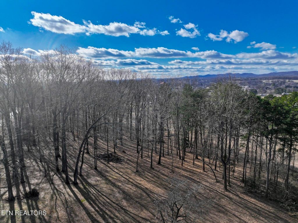 Photo of E Crestview Drive Lot 1, Madisonville, TN 37354 (MLS # 1327763)