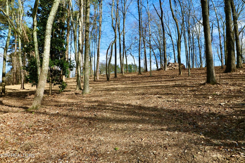 Photo of 1 E Crestview Drive, Madisonville, TN 37354 (MLS # 1327763)