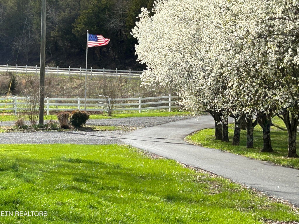 Photo of 2226 Holt Town Rd, Newport, TN 37821 (MLS # 1298375)