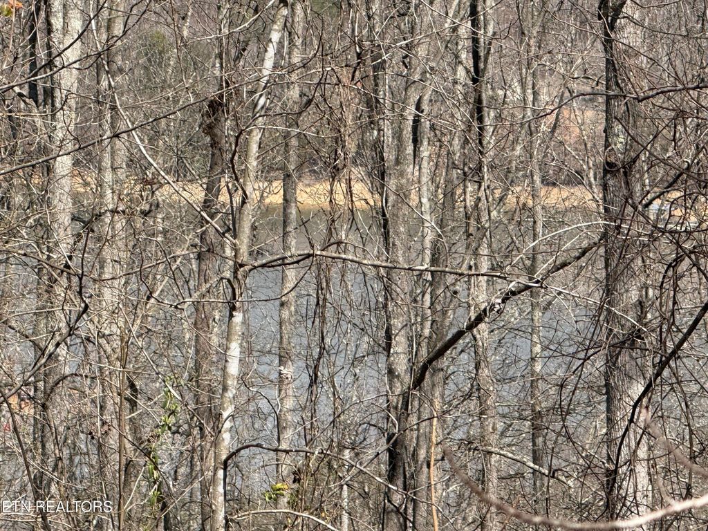 Photo of TBD Brandt Pike, LaFollette, TN 37766 (MLS # 1294396)