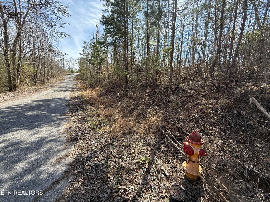 Photo of TBD Brandt Pike, LaFollette, TN 37766 (MLS # 1294396)