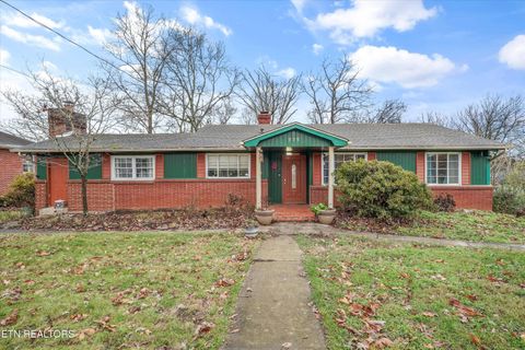 Photo of 225 W W Ford Valley Rd, Knoxville, TN 37920 (MLS # 1323377)