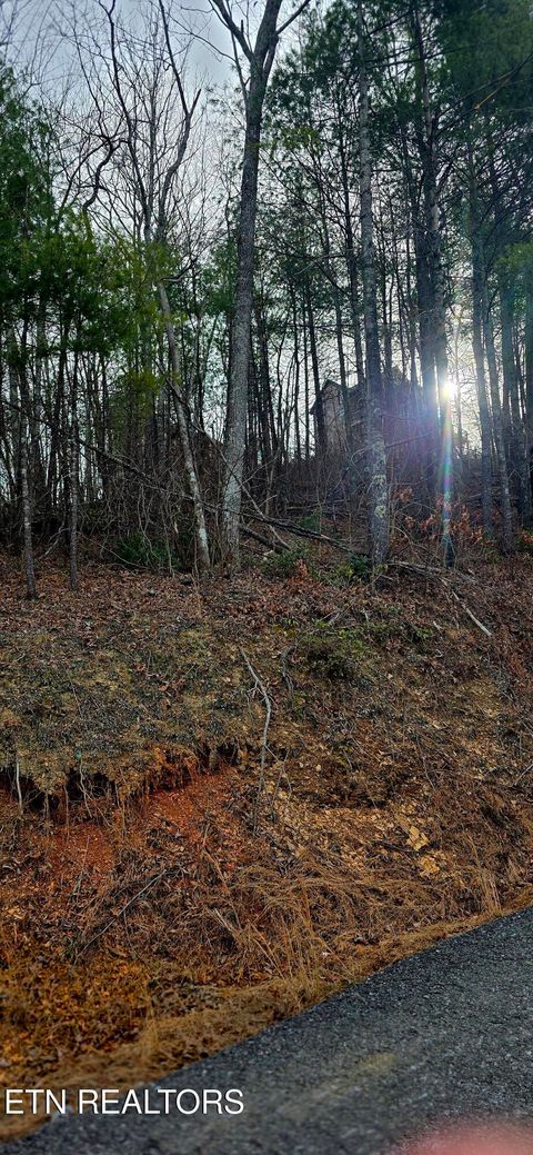 Tiny photo for 3276 Emerald Springs Loop, Sevierville, TN 37862 (MLS # 1328665)