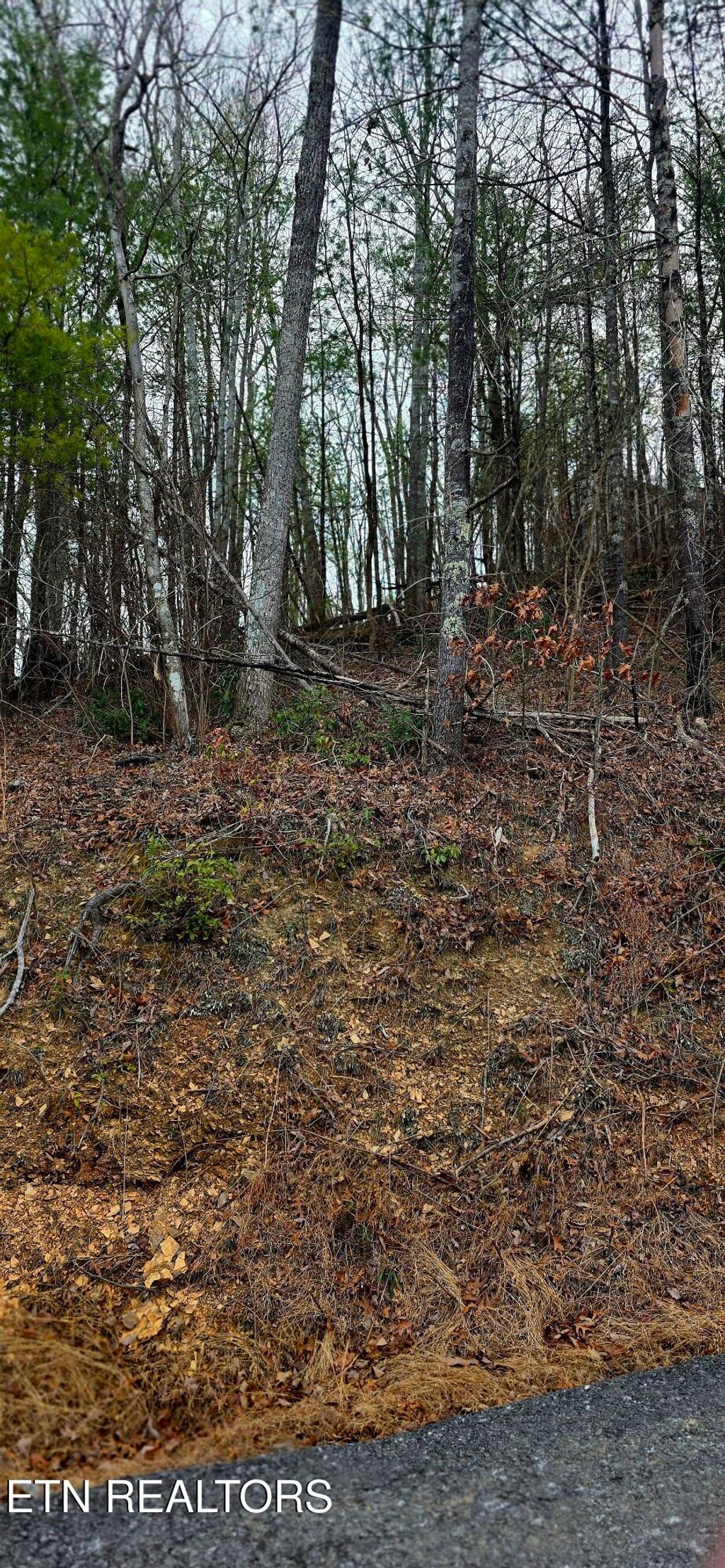 Photo of 3276 Emerald Springs Loop, Sevierville, TN 37862 (MLS # 1328665)