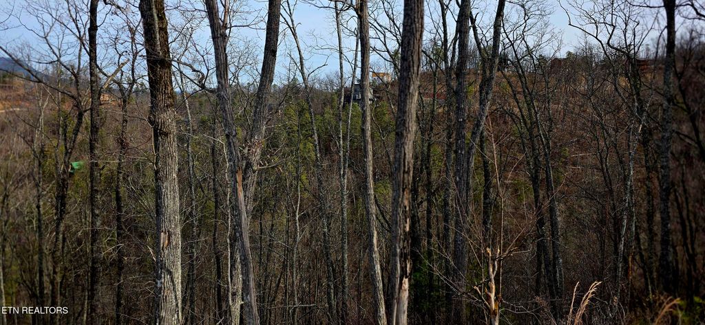 Photo of 3276 Emerald Springs Loop, Sevierville, TN 37862 (MLS # 1328665)