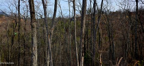 Tiny photo for 3276 Emerald Springs Loop, Sevierville, TN 37862 (MLS # 1328665)