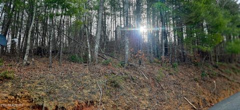 Tiny photo for 3276 Emerald Springs Loop, Sevierville, TN 37862 (MLS # 1328665)