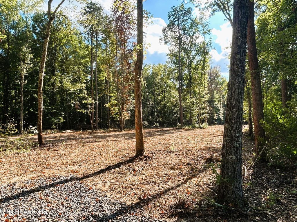 Photo of 3 Pleasant Hill Road, Ten Mile, TN 37880 (MLS # 1310720)