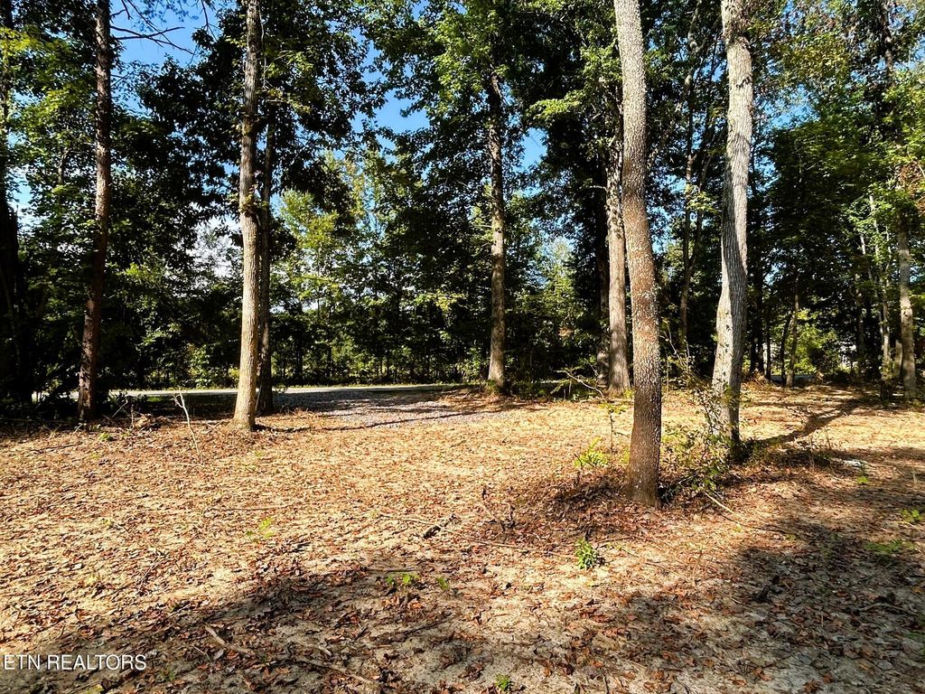 Photo of 3 Pleasant Hill Road, Ten Mile, TN 37880 (MLS # 1310720)
