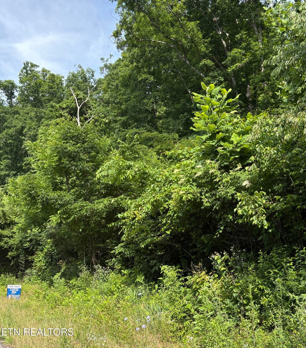 Photo of 5787 Highway 297, Pioneer, TN 37847 (MLS # 1343212)