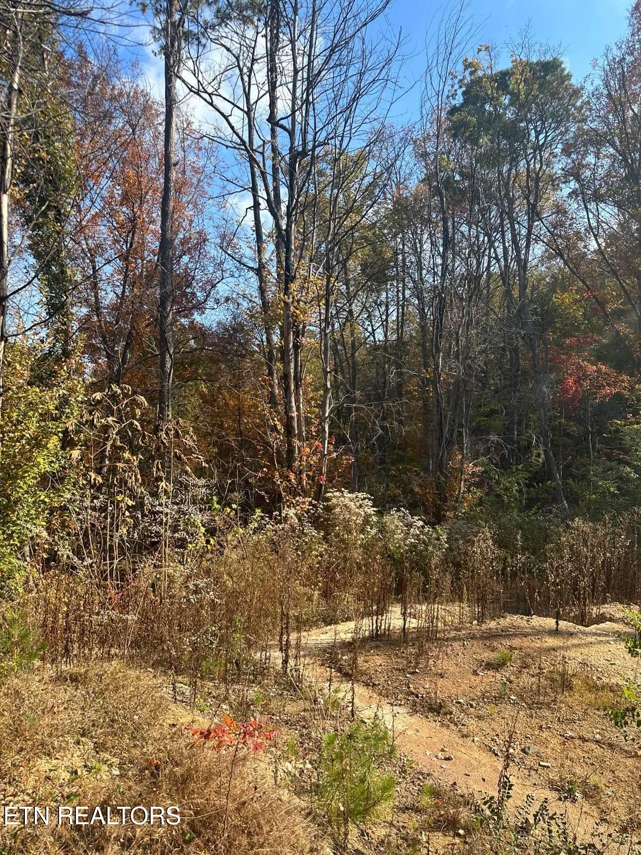 3361 Sugar Maple Loop Rd