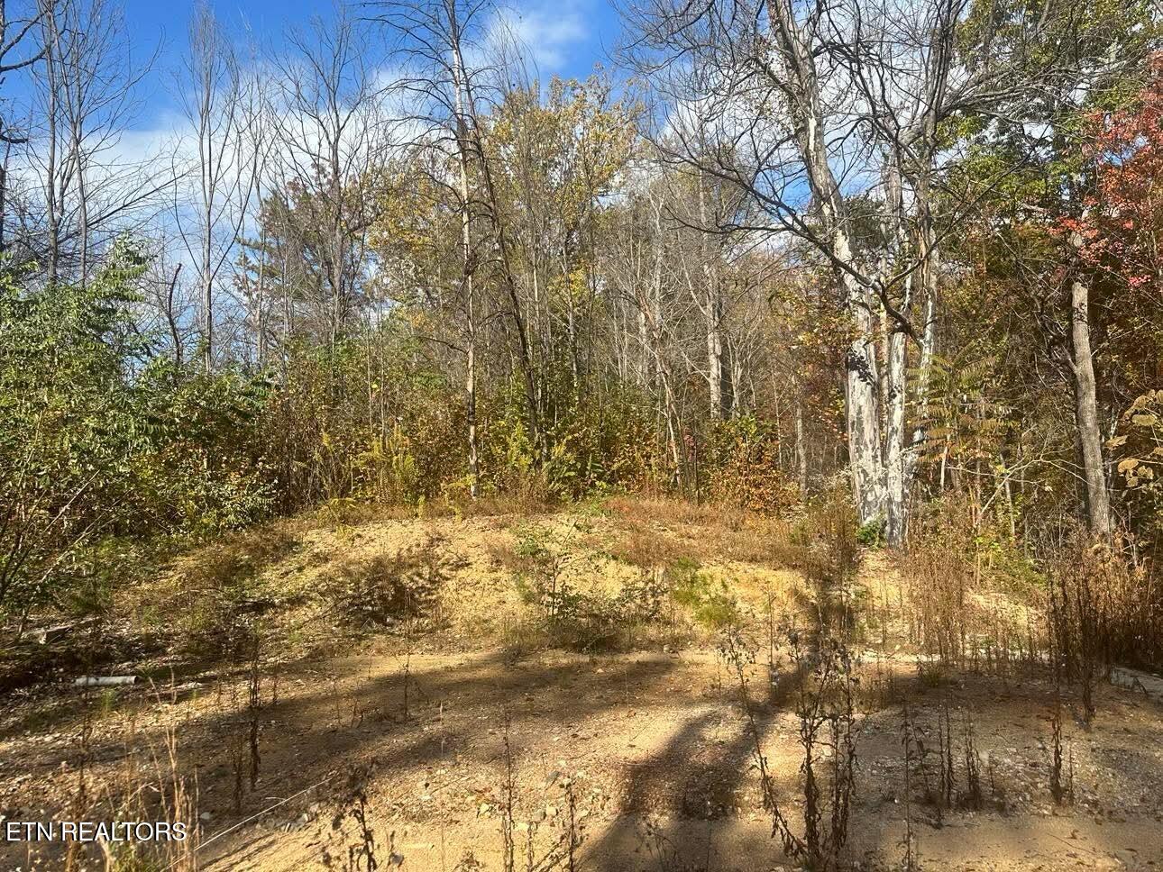 3361 Sugar Maple Loop Rd