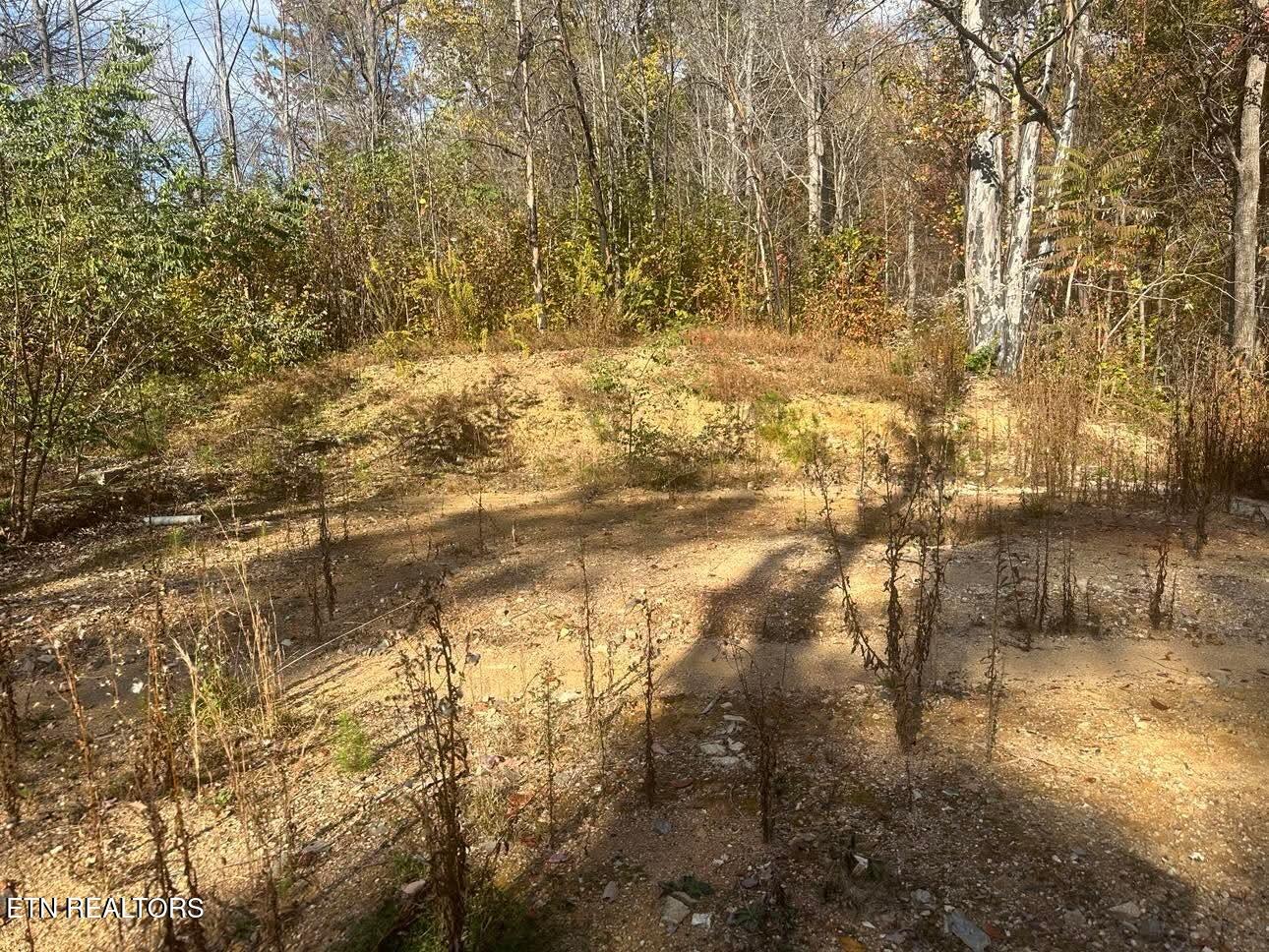 3361 Sugar Maple Loop Rd