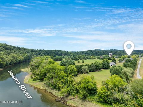 Tiny photo for 2760 Holston River Drive, Rutledge, TN 37861 (MLS # 1319165)