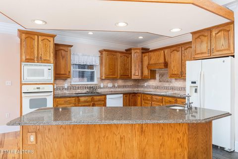 Tiny photo for 2760 Holston River Drive, Rutledge, TN 37861 (MLS # 1319165)