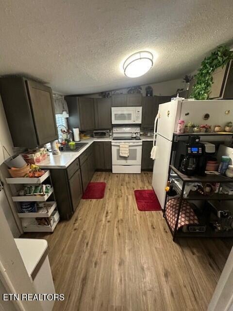 Tiny photo for 3507 Triple Oak St, Rockford, TN 37853 (MLS # 1360174)