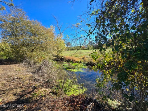 Tiny photo for 106 Ely Lane, Cumberland Gap, TN 37724 (MLS # 1359628)