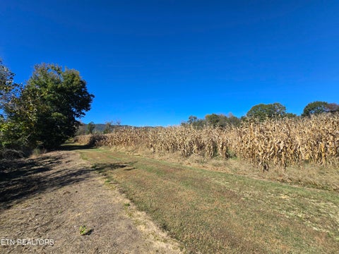 Tiny photo for 106 Ely Lane, Cumberland Gap, TN 37724 (MLS # 1359628)
