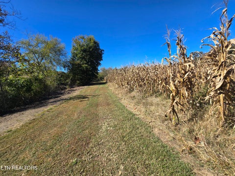 Tiny photo for 106 Ely Lane, Cumberland Gap, TN 37724 (MLS # 1359628)