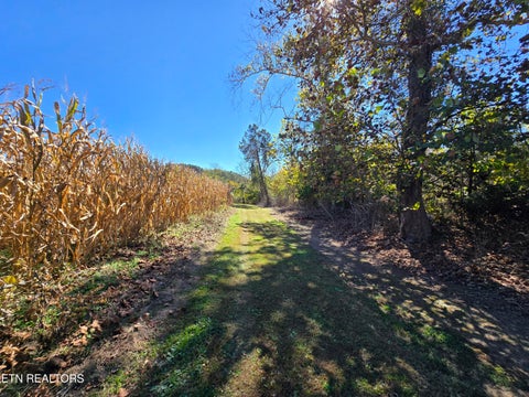 Tiny photo for 106 Ely Lane, Cumberland Gap, TN 37724 (MLS # 1359628)