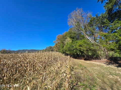 Tiny photo for 106 Ely Lane, Cumberland Gap, TN 37724 (MLS # 1359628)