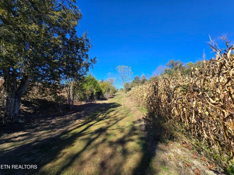 Tiny photo for 106 Ely Lane, Cumberland Gap, TN 37724 (MLS # 1359628)