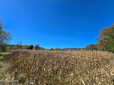 Tiny photo for 106 Ely Lane, Cumberland Gap, TN 37724 (MLS # 1359628)