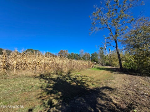 Tiny photo for 106 Ely Lane, Cumberland Gap, TN 37724 (MLS # 1359628)
