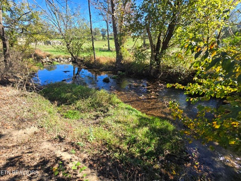 Tiny photo for 106 Ely Lane, Cumberland Gap, TN 37724 (MLS # 1359628)