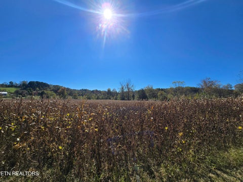 Tiny photo for 106 Ely Lane, Cumberland Gap, TN 37724 (MLS # 1359628)