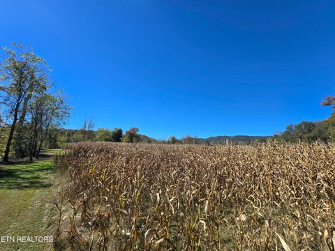 Tiny photo for 106 Ely Lane, Cumberland Gap, TN 37724 (MLS # 1359628)